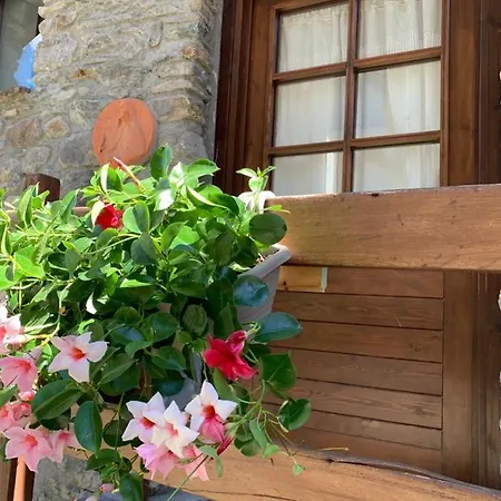 Hostel Fove Camera Vacanza
